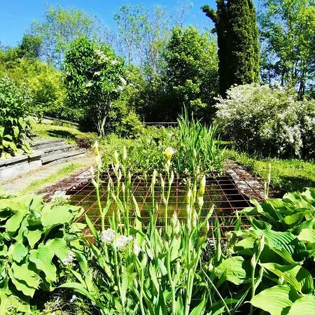 Panorama * Альбштадт