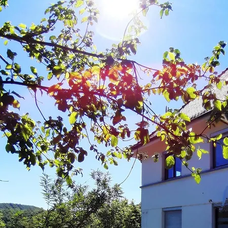 Panorama Appartement